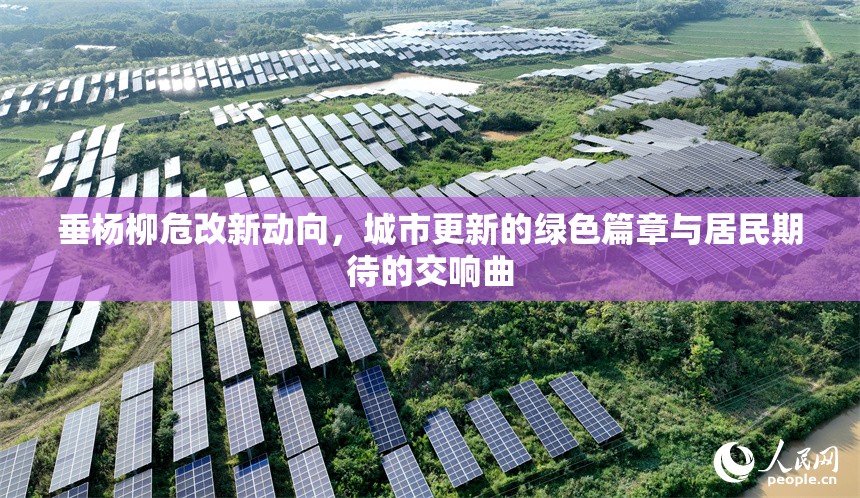 垂楊柳危改新動(dòng)向，城市更新的綠色篇章與居民期待的交響曲