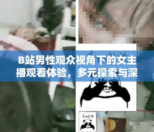 B站男性觀眾視角下的女主播觀看體驗(yàn)，多元探索與深度理解