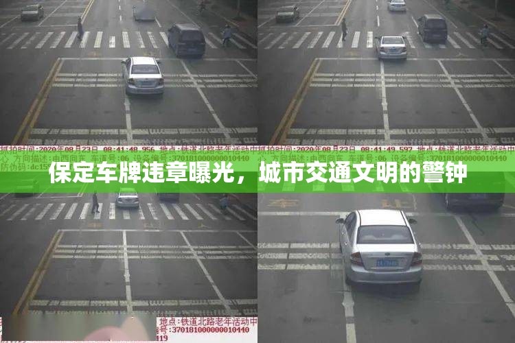 保定車(chē)牌違章曝光，城市交通文明的警鐘