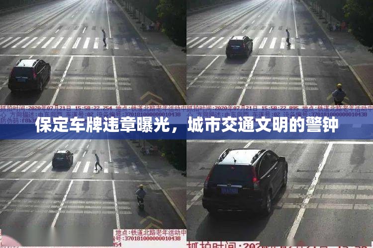 保定車(chē)牌違章曝光，城市交通文明的警鐘