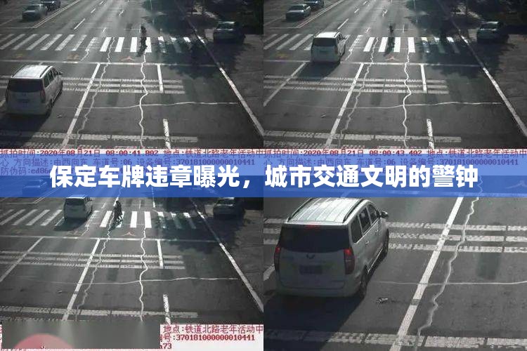保定車(chē)牌違章曝光，城市交通文明的警鐘