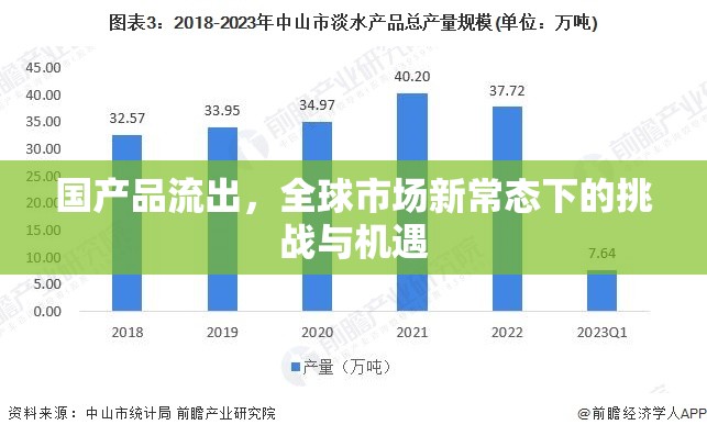國產(chǎn)品流出，全球市場新常態(tài)下的挑戰(zhàn)與機遇