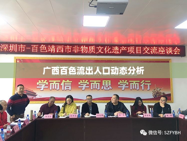 廣西百色流出人口動態(tài)分析