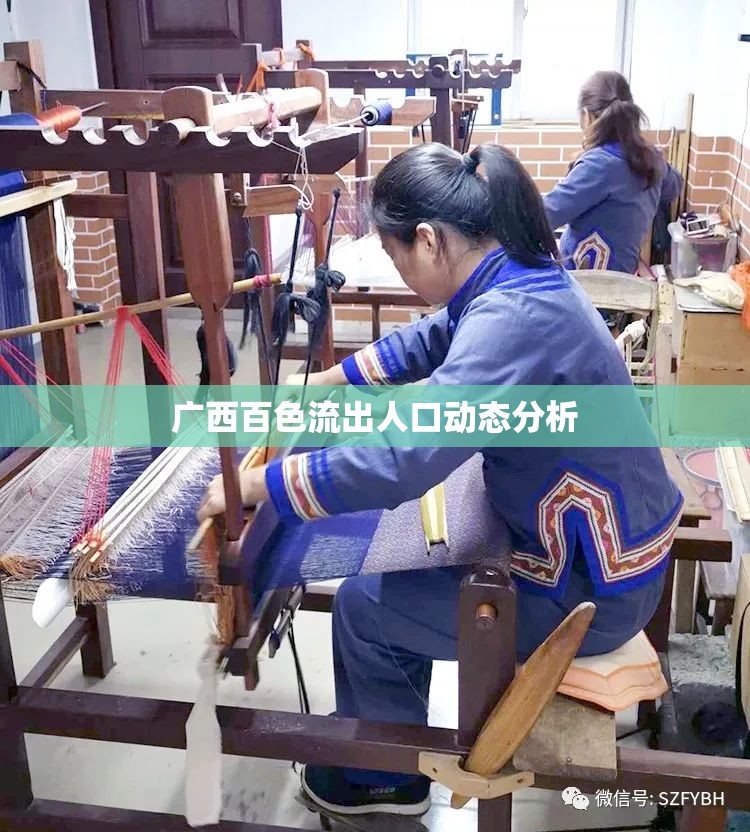 廣西百色流出人口動態(tài)分析