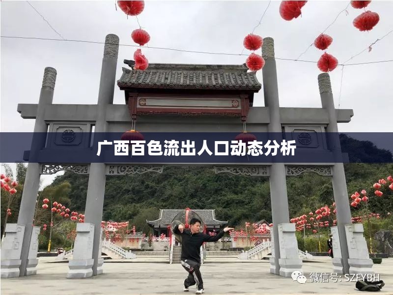 廣西百色流出人口動態(tài)分析