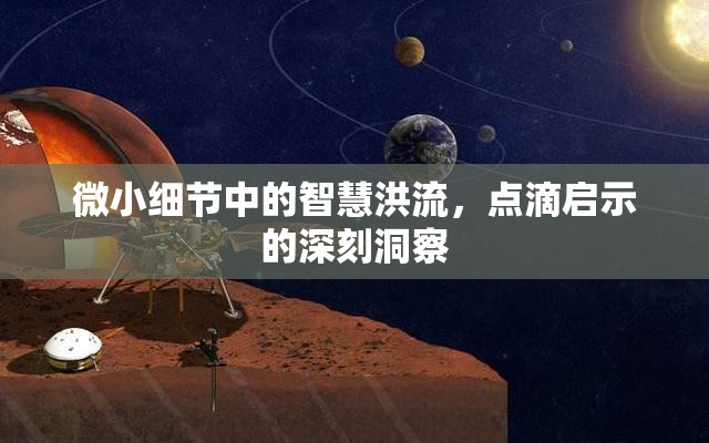 微小細(xì)節(jié)中的智慧洪流，點(diǎn)滴啟示的深刻洞察