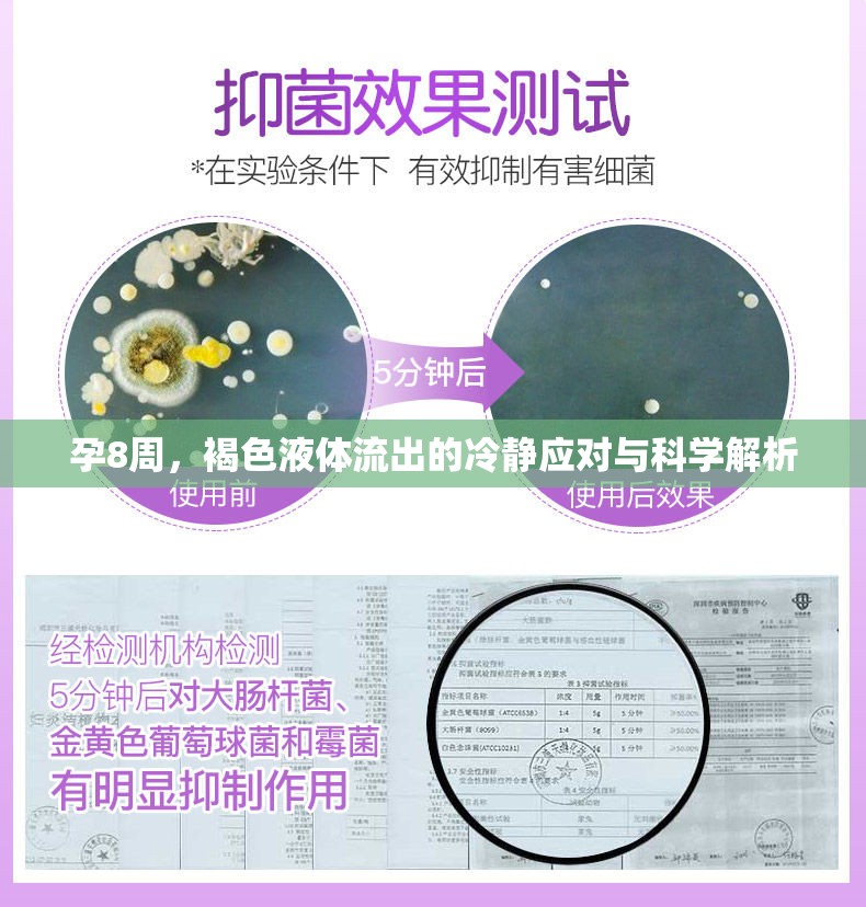 孕8周，褐色液體流出的冷靜應(yīng)對與科學(xué)解析