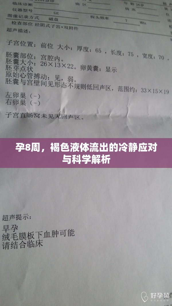 孕8周，褐色液體流出的冷靜應(yīng)對與科學(xué)解析