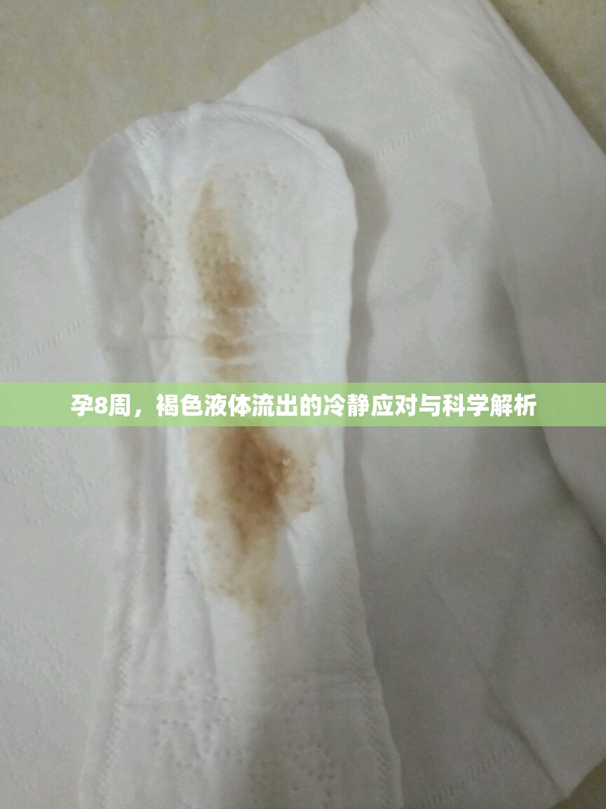 孕8周，褐色液體流出的冷靜應(yīng)對與科學(xué)解析