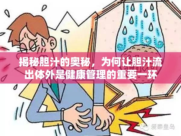 揭秘膽汁的奧秘，為何讓膽汁流出體外是健康管理的重要一環(huán)