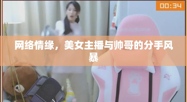網(wǎng)絡(luò)情緣，美女主播與帥哥的分手風(fēng)暴