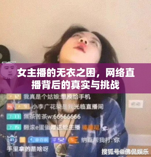 女主播的無衣之困，網(wǎng)絡直播背后的真實與挑戰(zhàn)