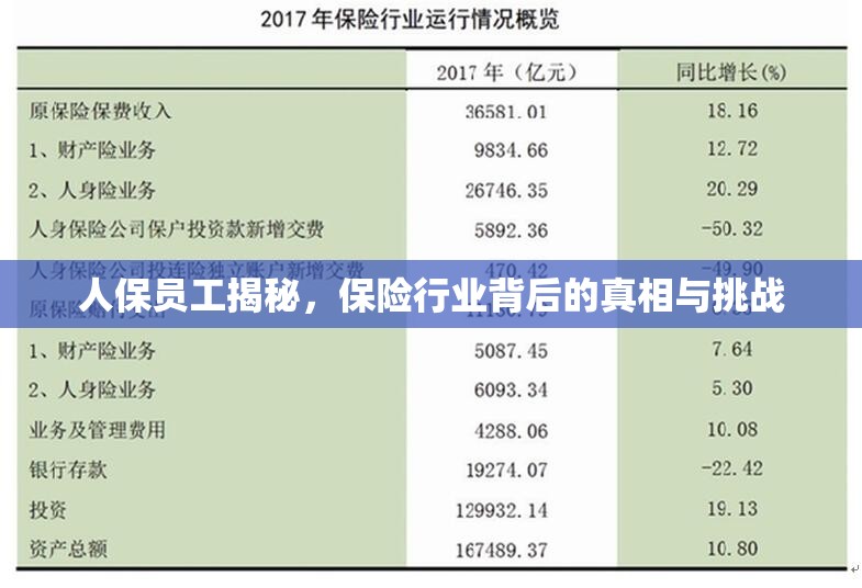 人保員工揭秘，保險(xiǎn)行業(yè)背后的真相與挑戰(zhàn)