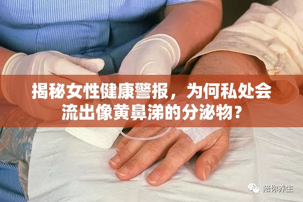 揭秘女性健康警報(bào)，為何私處會流出像黃鼻涕的分泌物？