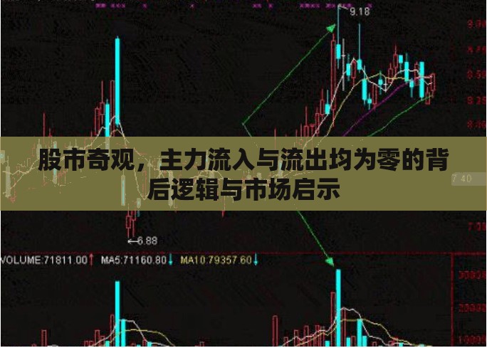 股市奇觀，主力流入與流出均為零的背后邏輯與市場(chǎng)啟示