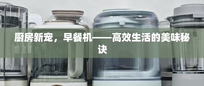 廚房新寵，早餐機——高效生活的美味秘訣