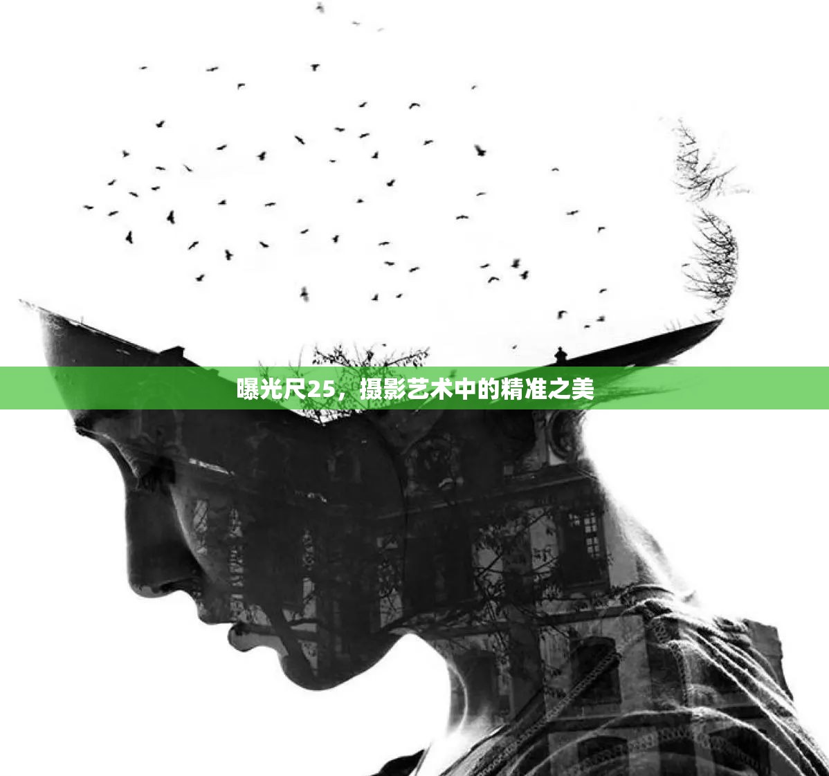 曝光尺25，攝影藝術中的精準之美