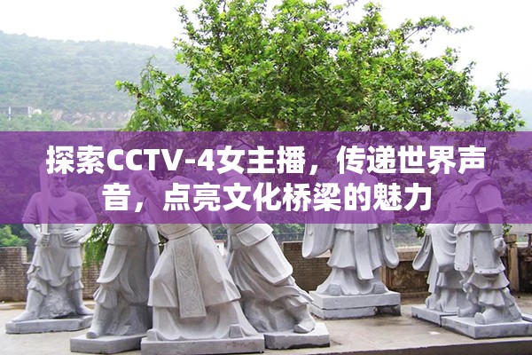 探索CCTV-4女主播，傳遞世界聲音，點(diǎn)亮文化橋梁的魅力