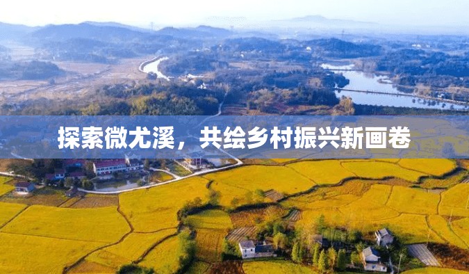 探索微尤溪，共繪鄉(xiāng)村振興新畫(huà)卷