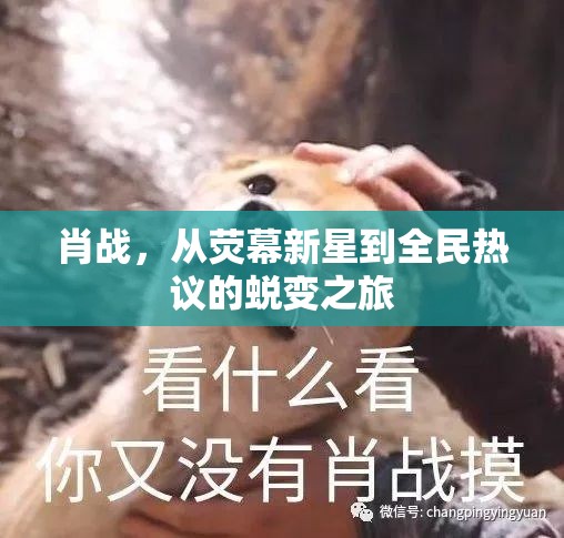 肖戰(zhàn)，從熒幕新星到全民熱議的蛻變之旅