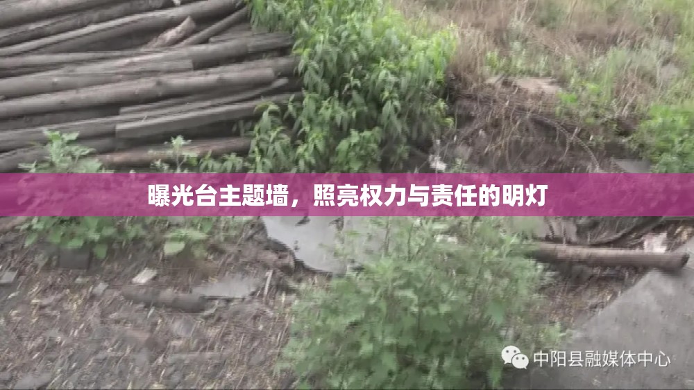 曝光臺(tái)主題墻，照亮權(quán)力與責(zé)任的明燈