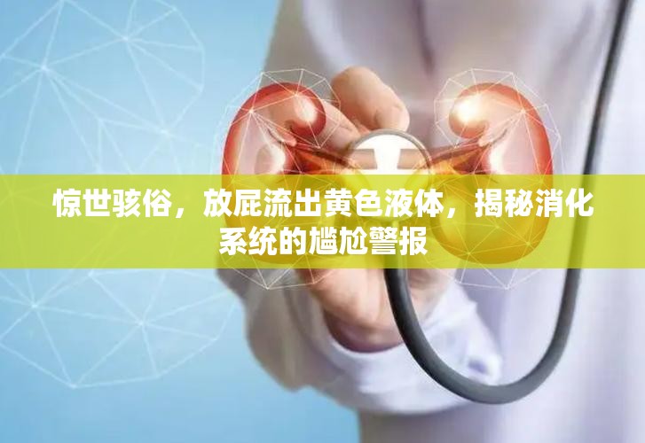 驚世駭俗，放屁流出黃色液體，揭秘消化系統(tǒng)的尷尬警報(bào)