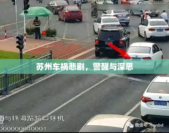 蘇州車禍悲劇，警醒與深思