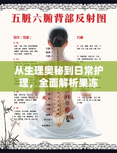 從生理奧秘到日常護理，全面解析果凍現(xiàn)象的流出與應對策略
