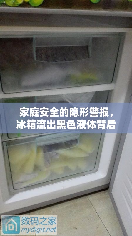 家庭安全的隱形警報，冰箱流出黑色液體背后的真相
