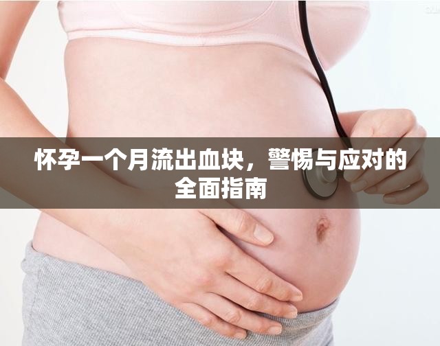 懷孕一個(gè)月流出血塊，警惕與應(yīng)對(duì)的全面指南