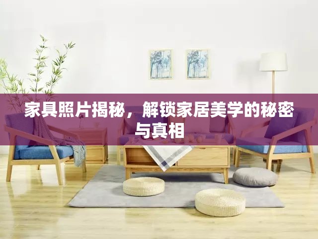家具照片揭秘，解鎖家居美學(xué)的秘密與真相
