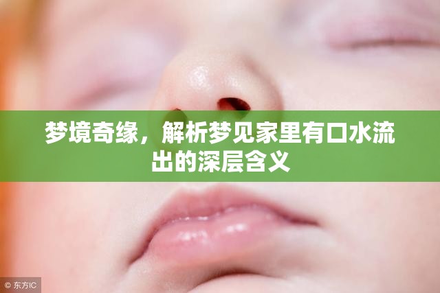夢境奇緣，解析夢見家里有口水流出的深層含義