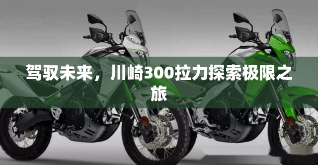 駕馭未來(lái)，川崎300拉力探索極限之旅
