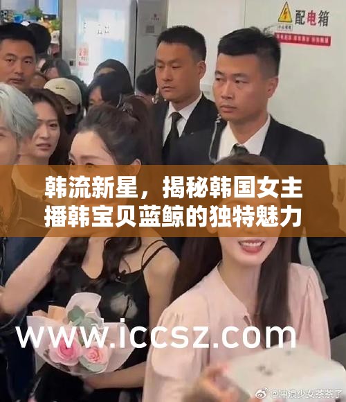 韓流新星，揭秘韓國女主播韓寶貝藍鯨的獨特魅力與廣泛影響