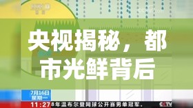 央視揭秘，都市光鮮背后的隱秘角落