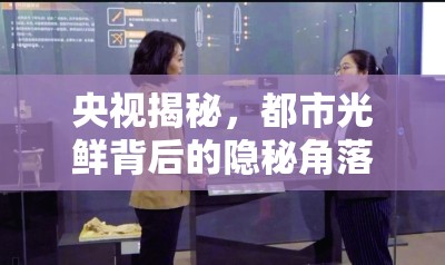 央視揭秘，都市光鮮背后的隱秘角落