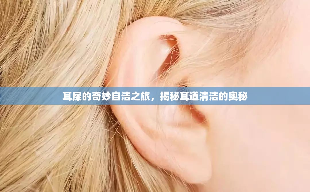 耳屎的奇妙自潔之旅，揭秘耳道清潔的奧秘