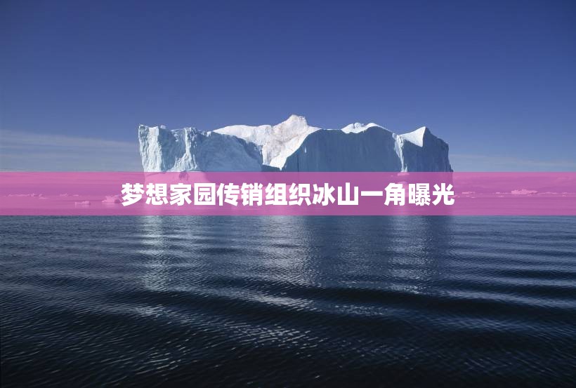 夢(mèng)想家園傳銷組織冰山一角曝光