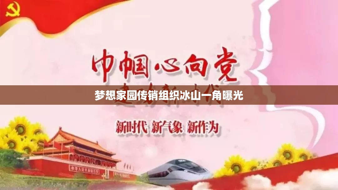 夢(mèng)想家園傳銷組織冰山一角曝光