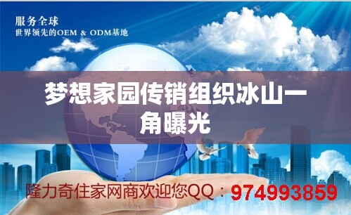 夢(mèng)想家園傳銷組織冰山一角曝光