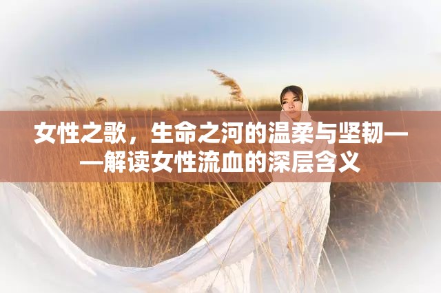 女性之歌，生命之河的溫柔與堅韌——解讀女性流血的深層含義