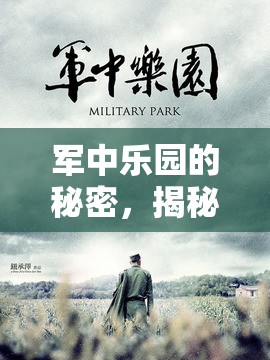 軍中樂園的秘密，揭秘背后的故事與深遠(yuǎn)影響