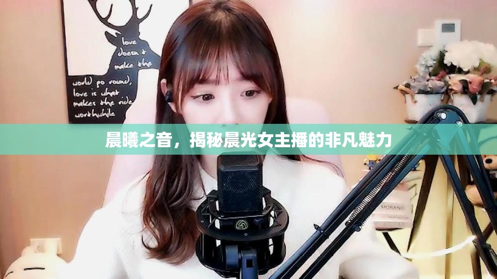 晨曦之音，揭秘晨光女主播的非凡魅力