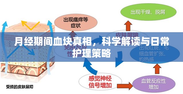 月經(jīng)期間血塊真相，科學解讀與日常護理策略