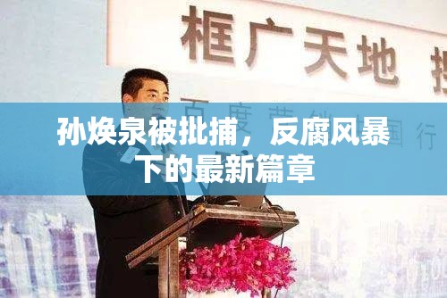 孫煥泉被批捕，反腐風(fēng)暴下的最新篇章