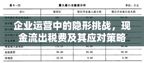 企業(yè)運營中的隱形挑戰(zhàn)，現(xiàn)金流出稅費及其應(yīng)對策略