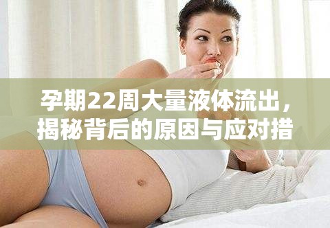 孕期22周大量液體流出，揭秘背后的原因與應(yīng)對(duì)措施