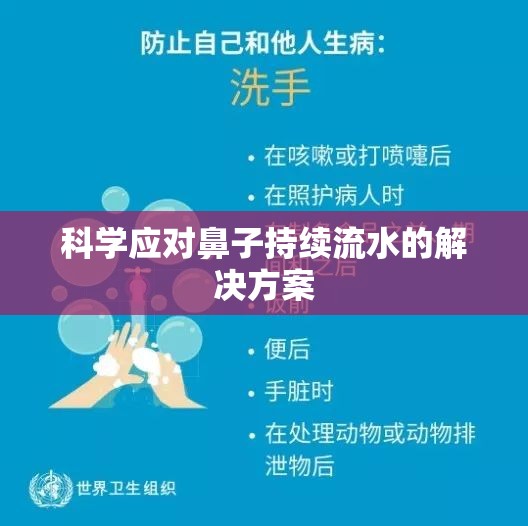科學(xué)應(yīng)對鼻子持續(xù)流水的解決方案