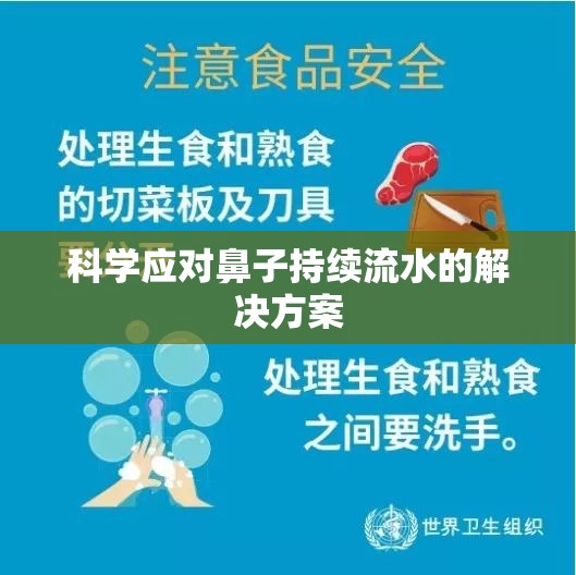 科學(xué)應(yīng)對鼻子持續(xù)流水的解決方案