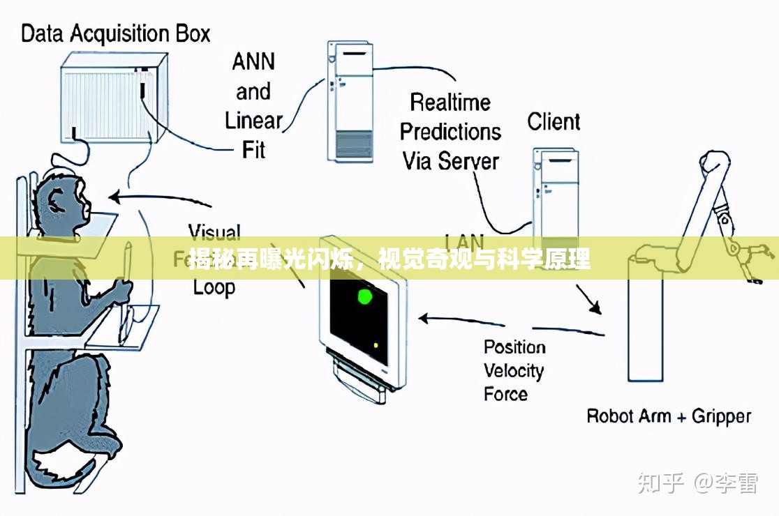 揭秘再曝光閃爍，視覺奇觀與科學(xué)原理